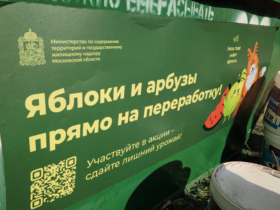 Фото: МедиаБанк Подмосковья/Никита Сморкалов