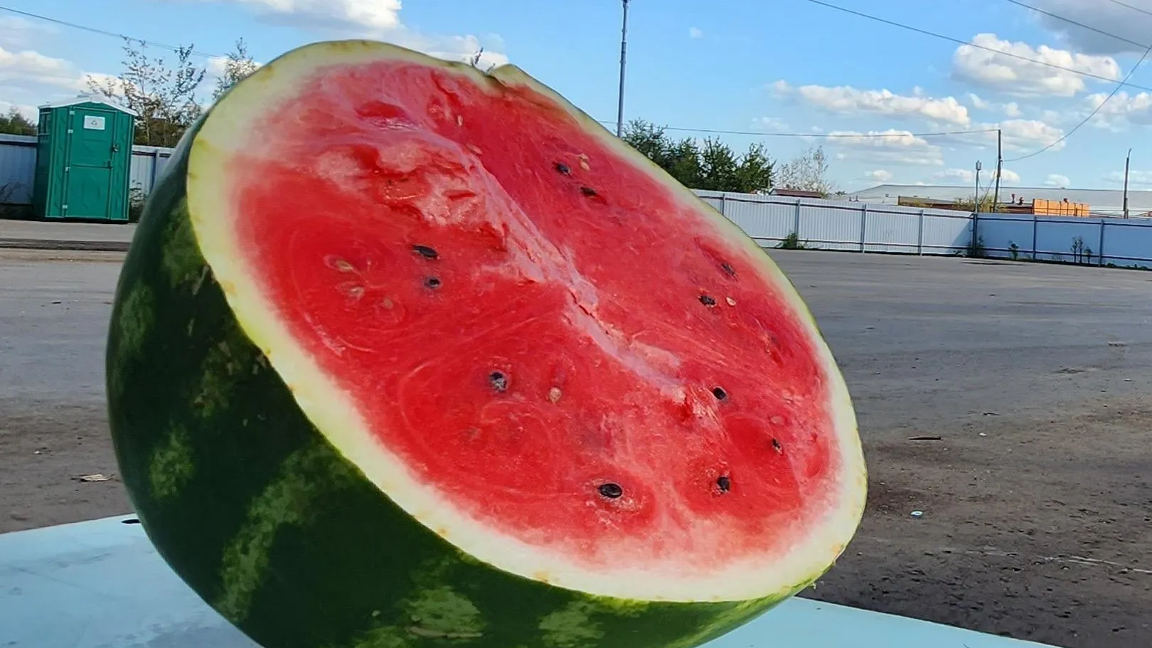 Никита Сморкалов