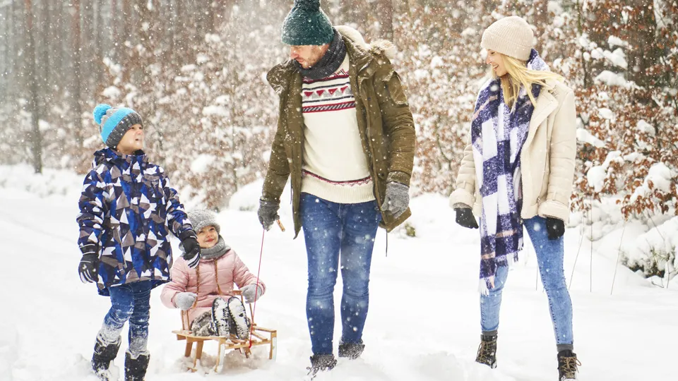 Фото: istockphoto.com/gpointstudio