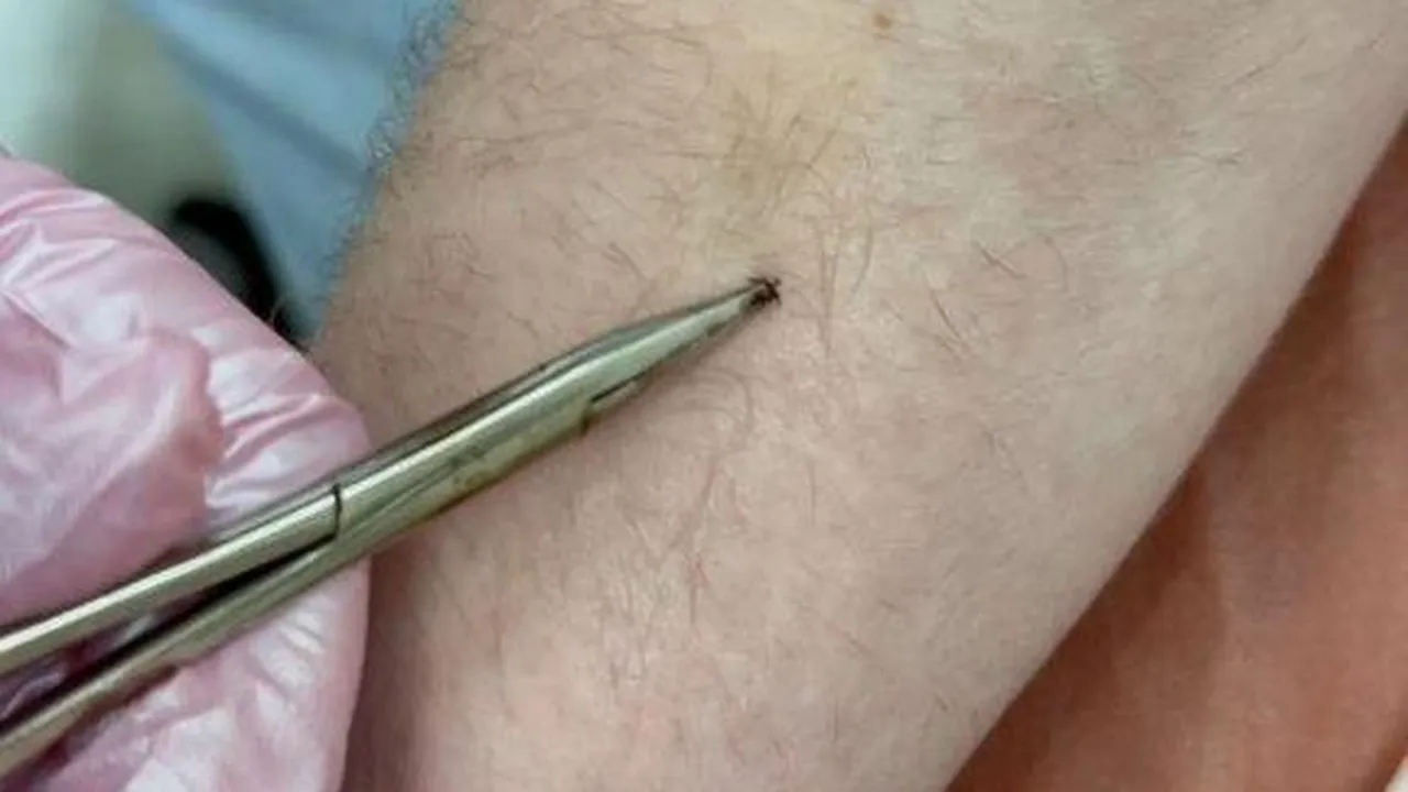 Фото: Коломенская больница