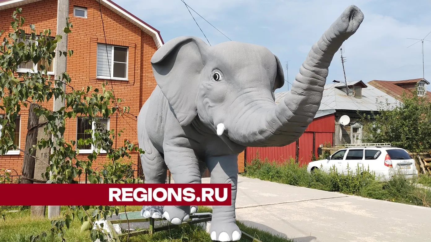 Фото: REGIONS/Алексей Селиверстов