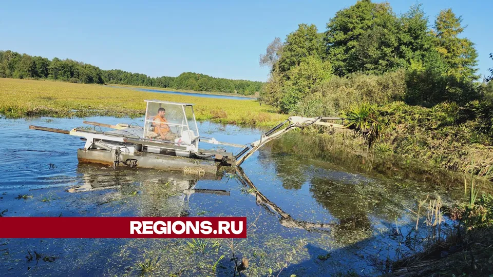 Фото: Юлия Андросова