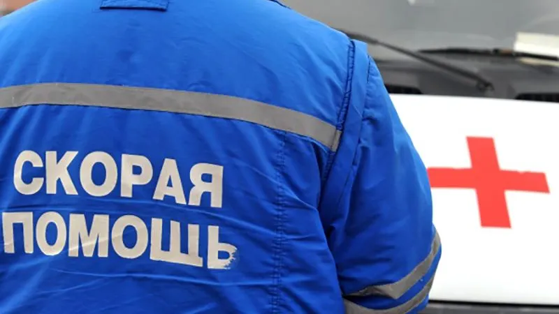 Белка, мышь и обезьяна покусали жителей Ступина