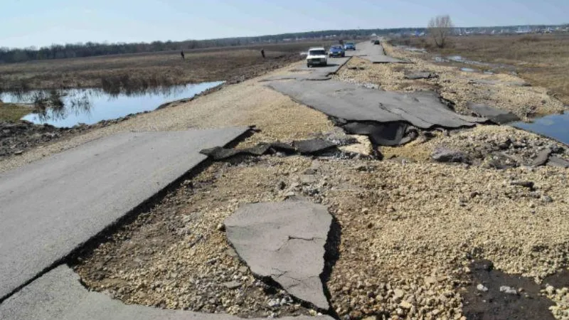 Многодетные семьи из подмосковной деревни не водят детей в школу из-за бездорожья