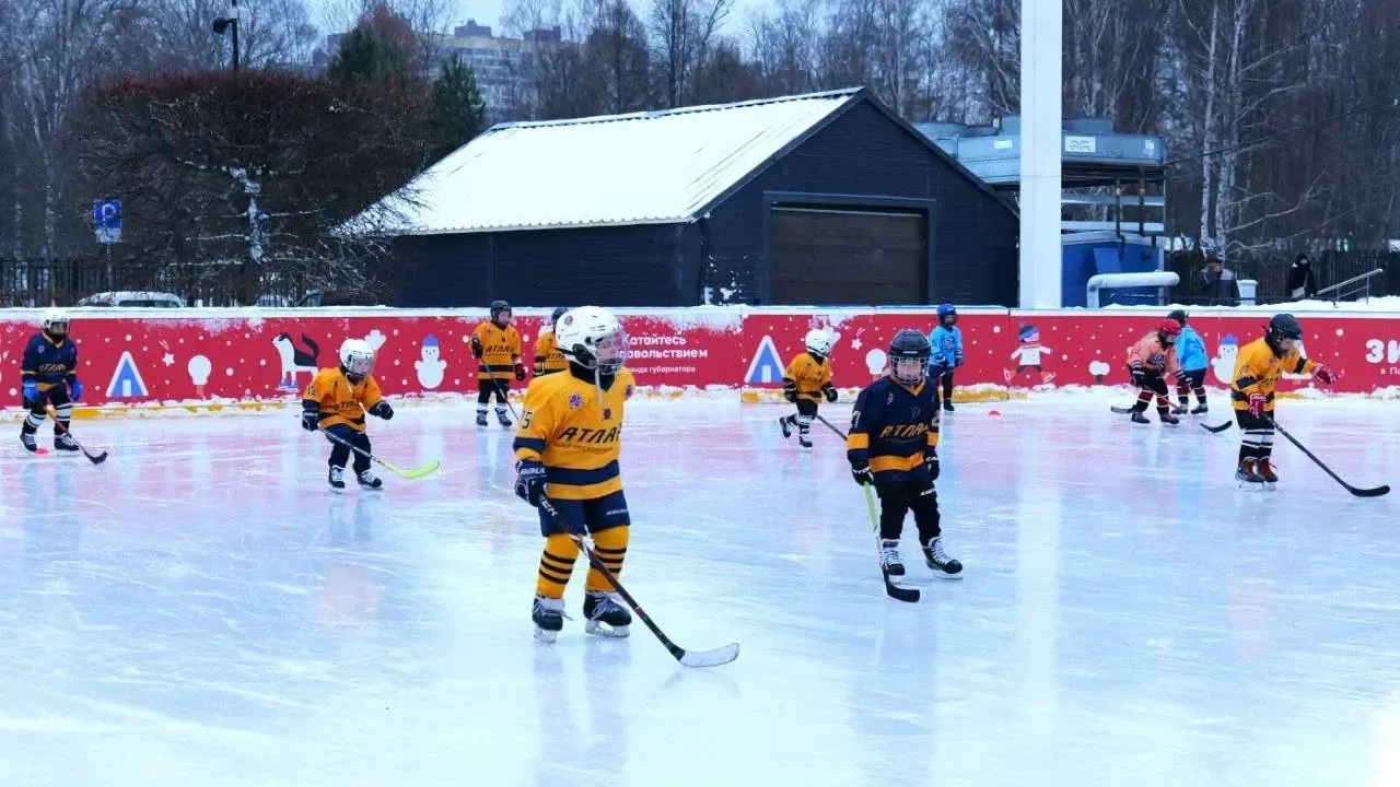 Министерство благоустройства Московской области
