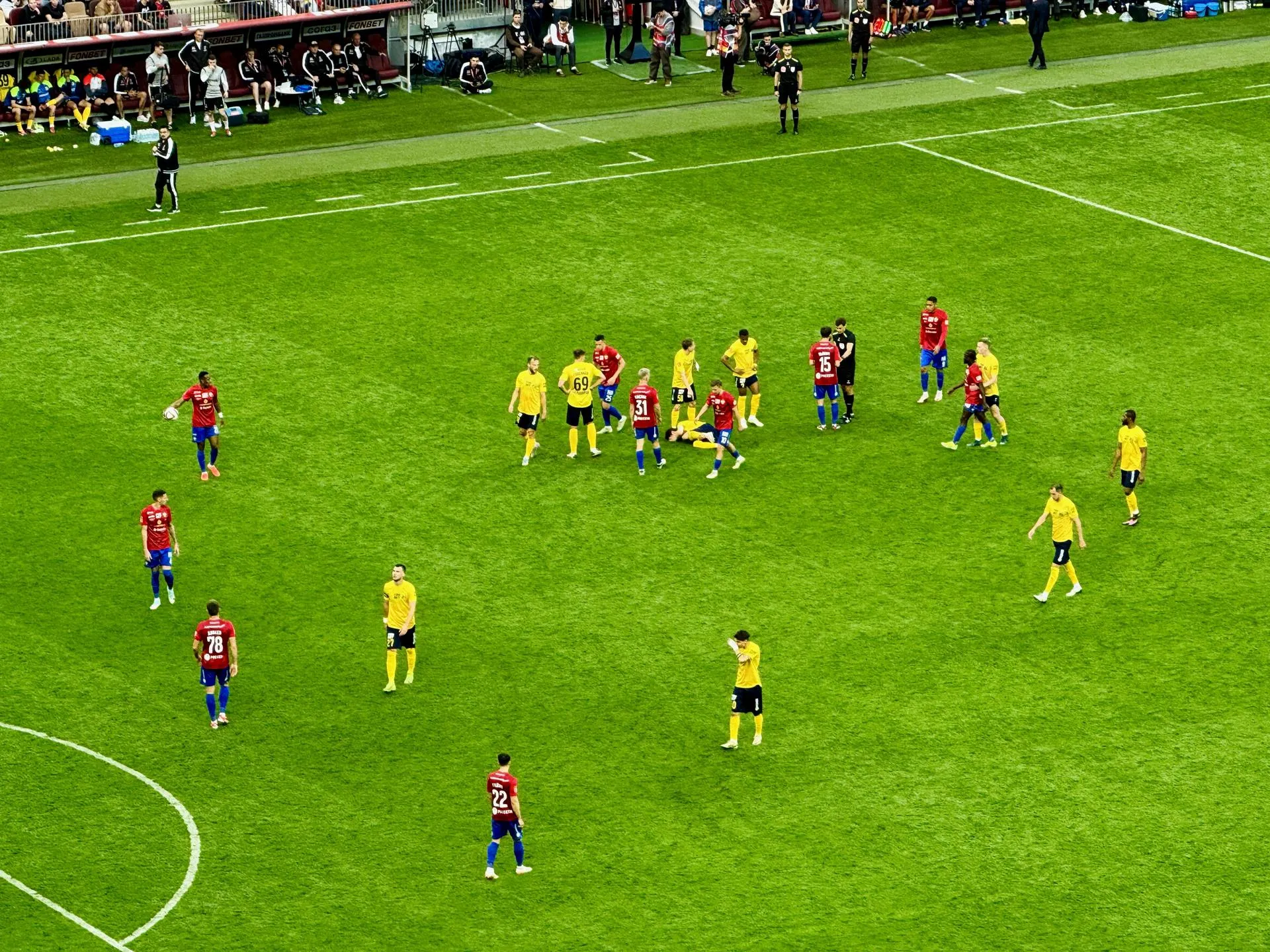 Фото: Ольга Стаферова