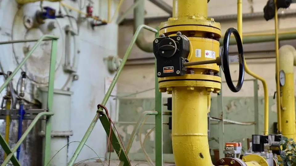 Фото: пресс-служба Администрации г.о. Солнечногорск