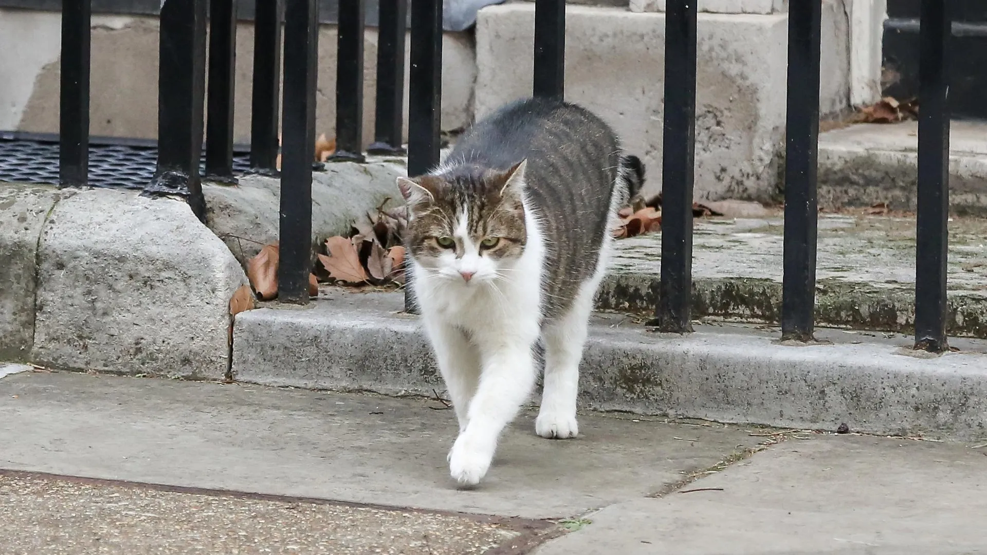 Dinendra Haria/ZUMAPRESS.com