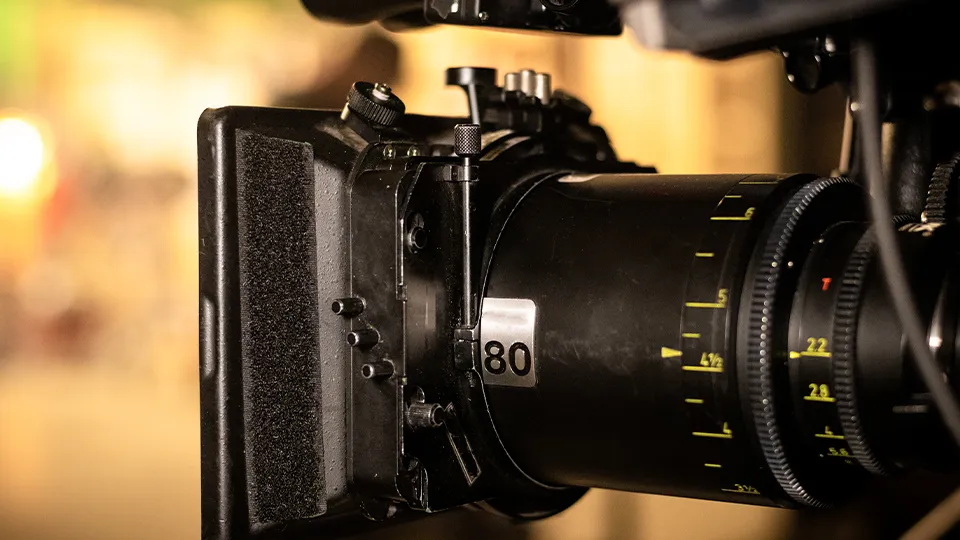 Фото: istockphoto.com/Darwin Brandis