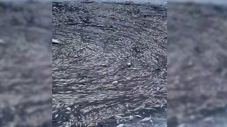 Telegram-канал «Осторожно, Москва».