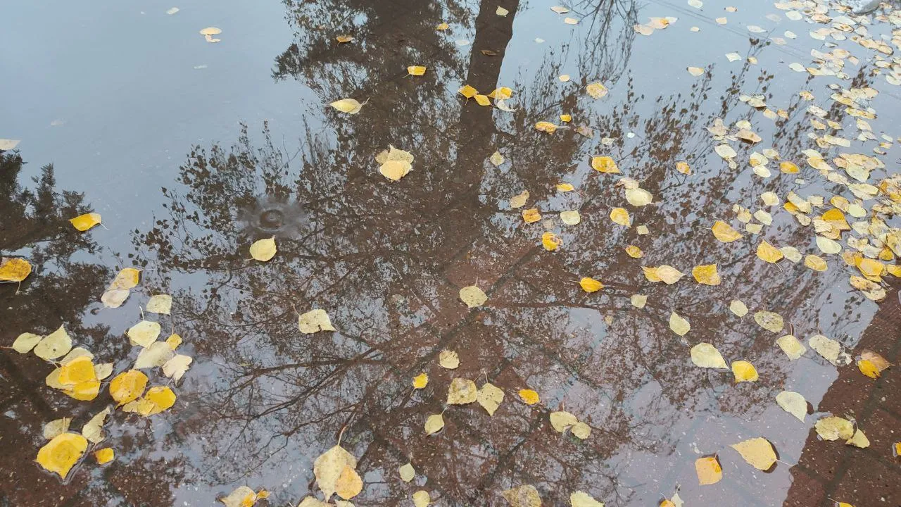 Фото: REGIONS/Елена Забелина