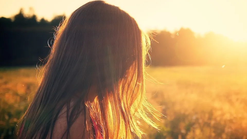 Фото: pxhere.com