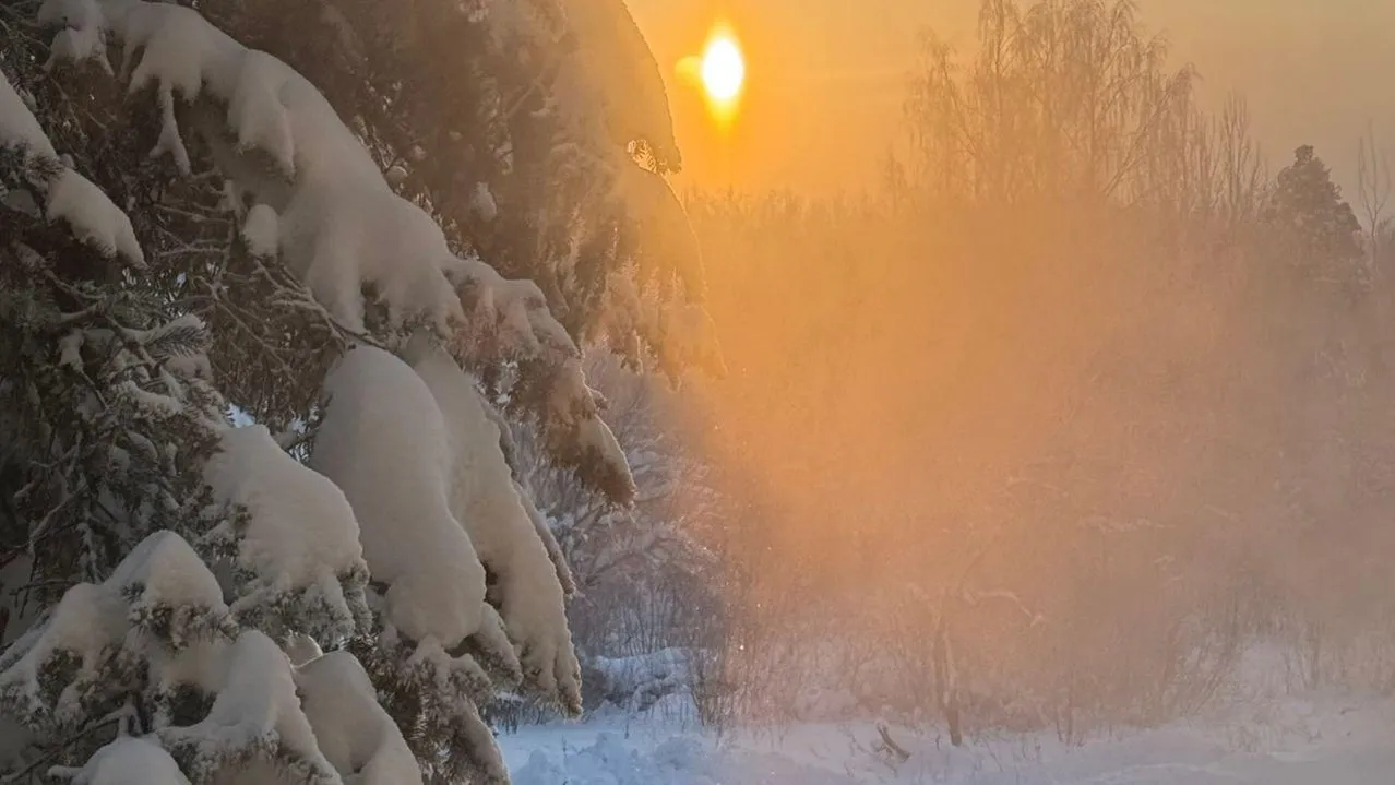 Марина Алифанова