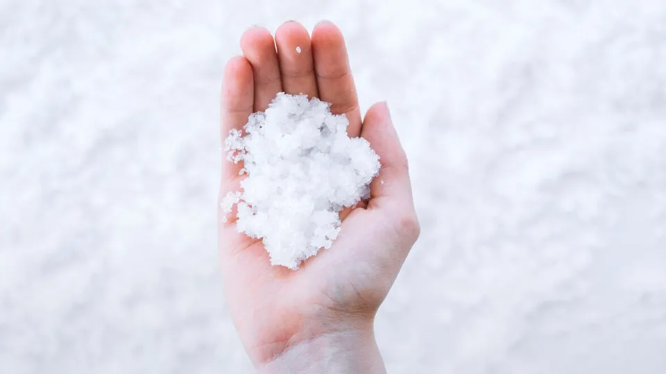 Фото: freepik.com