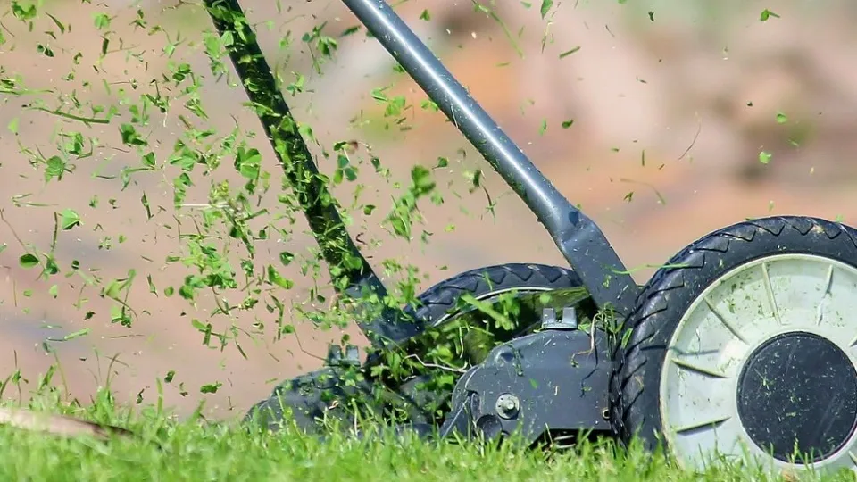 Фото: pxhere.com