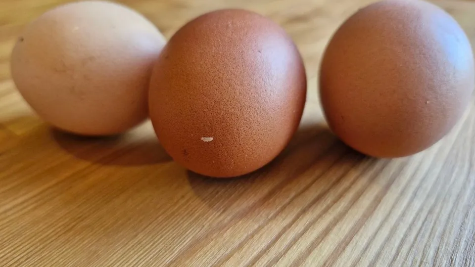 Фото: REGIONS/Наталия Надточая