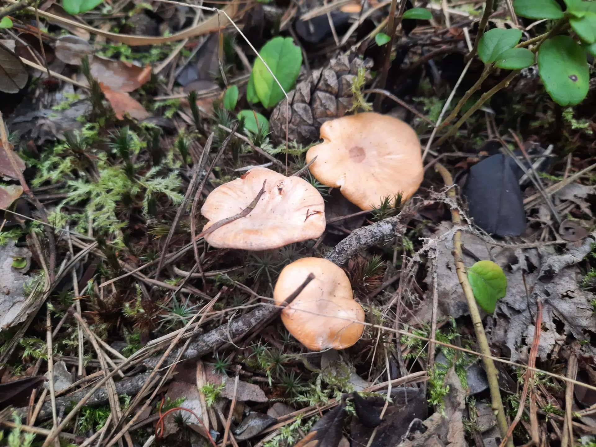 Михаил Мартыненко