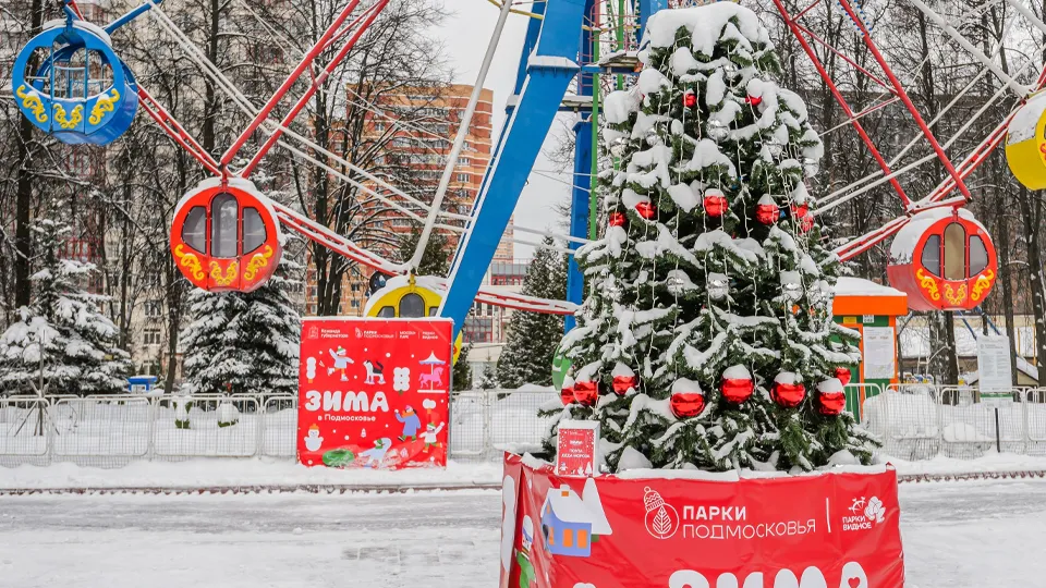 Фото: медиасток.рф