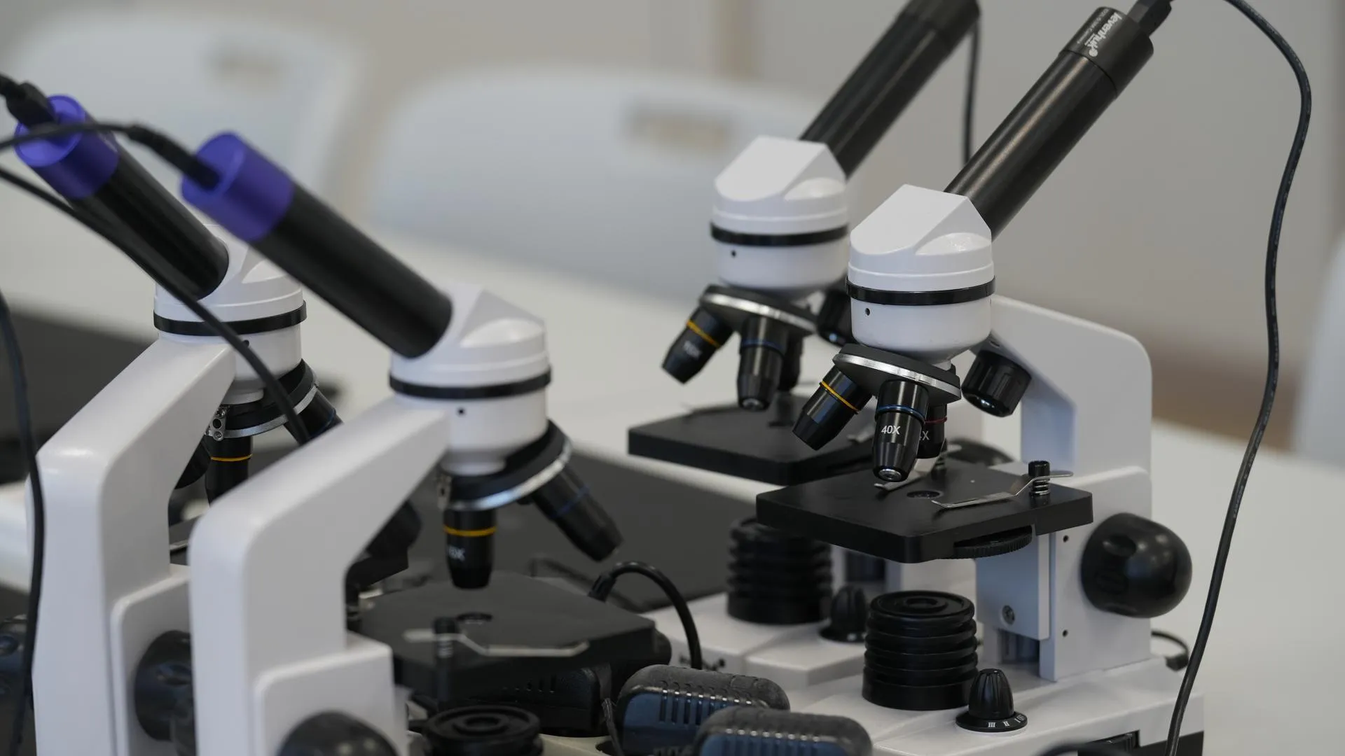 МедиаБанк Подмосковья/Мария Юдина