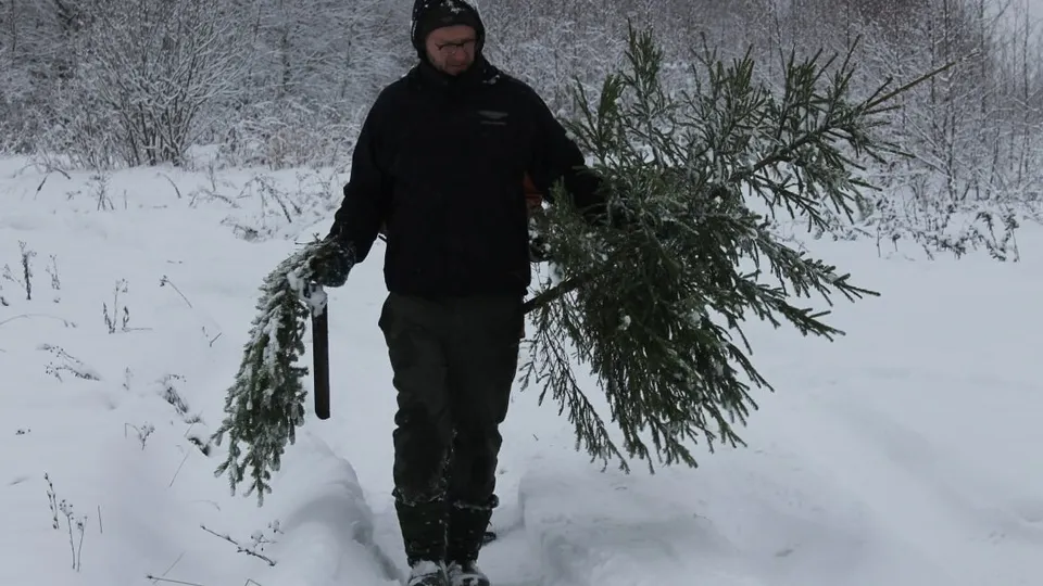 Фото: t.me/mosoblcomles