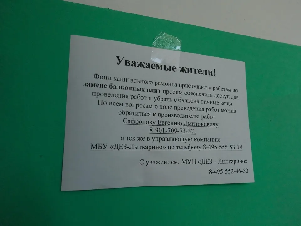 Фото: Дарья Попова