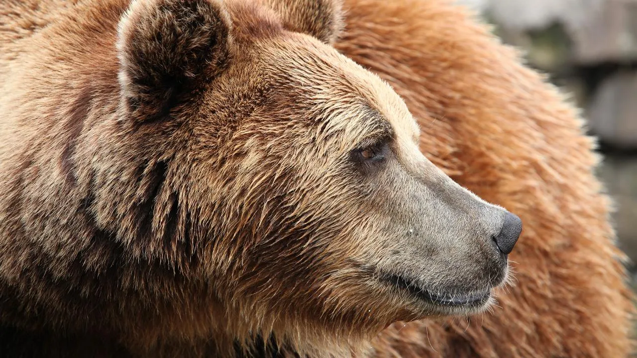 istockphoto.com/Tadoma