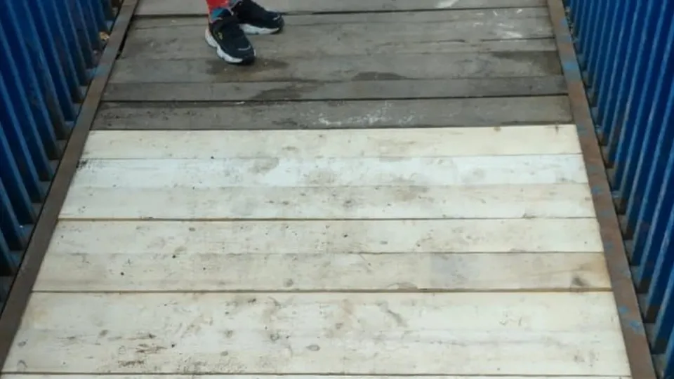 Фото: пресс-служба Администрации г.о. Химки