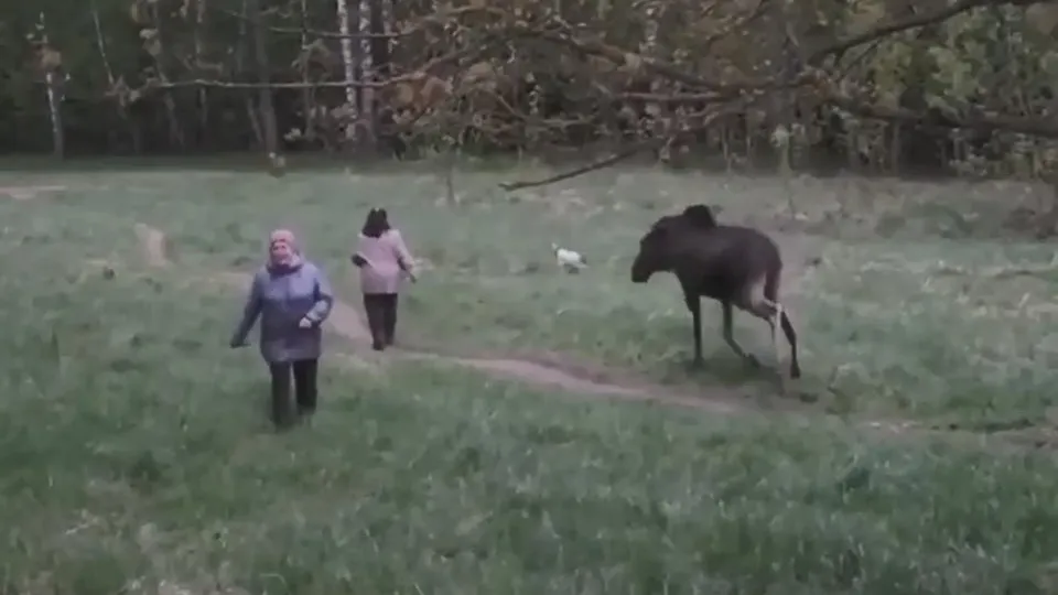 Фото: соцсети