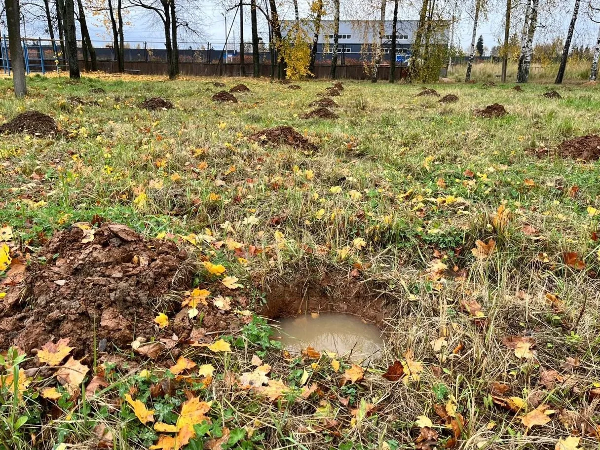 Фото: пресс-служба Александра Баранова&nbsp; &nbsp; &nbsp;