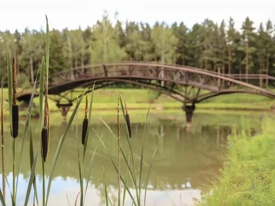 Фото: городская доска объявлений