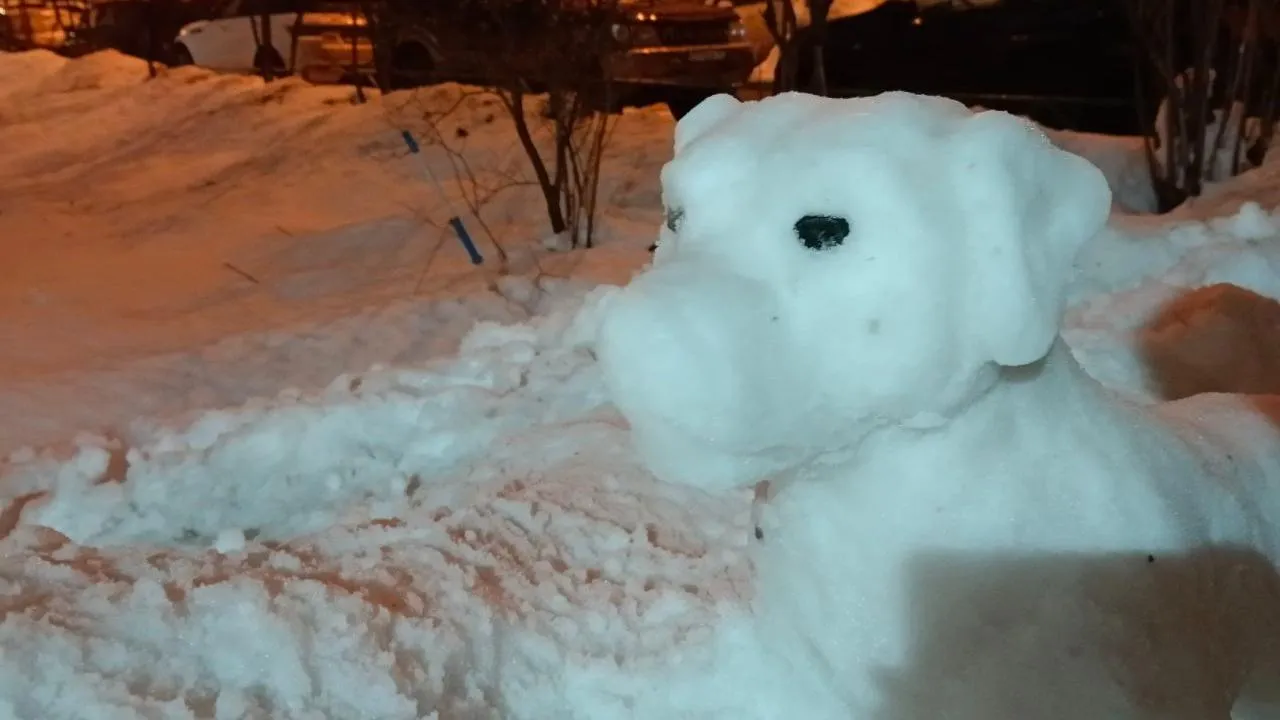 личный архив Натальи Шуруповой