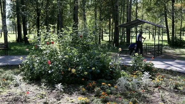 Парковую зону в Краснозаводске продолжают благоустраивать