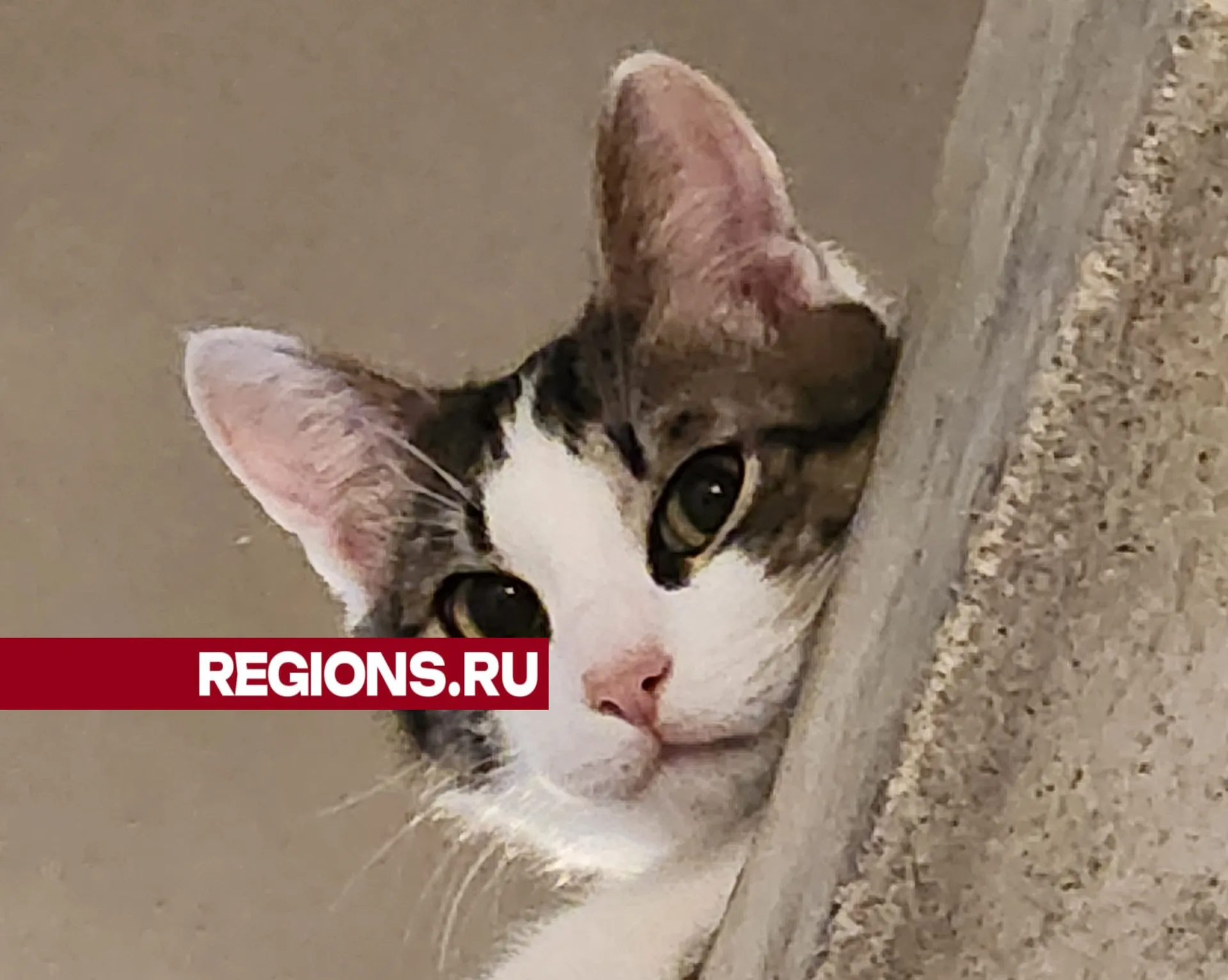 Фото: Светлана Борщева