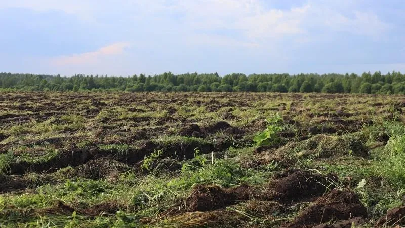 Министерство сельского хозяйства и продовольствия МО