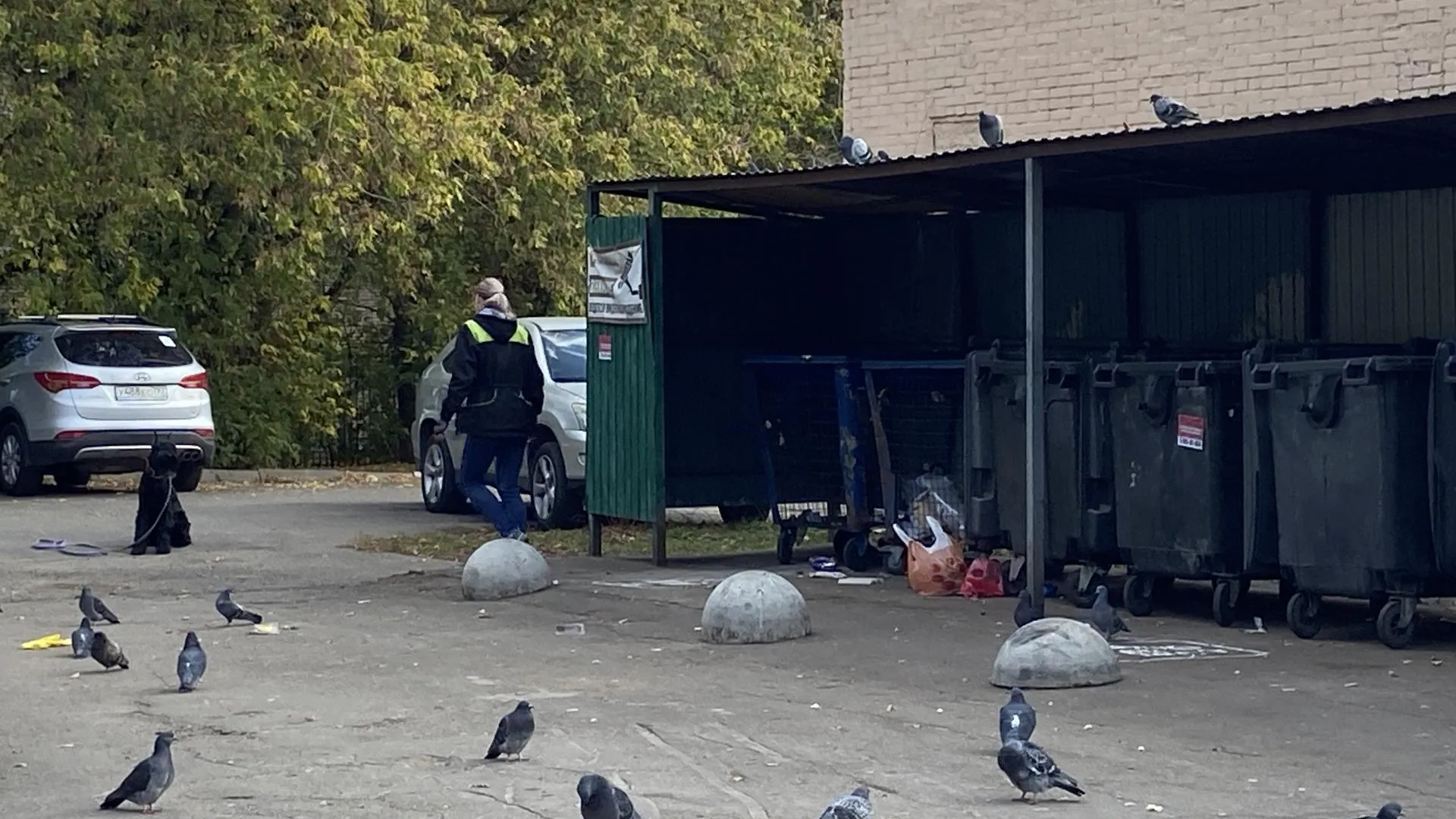 Светлана Борщева