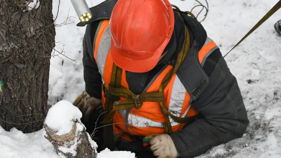 Фото: пресс-служба администрации г.о. Жуковский