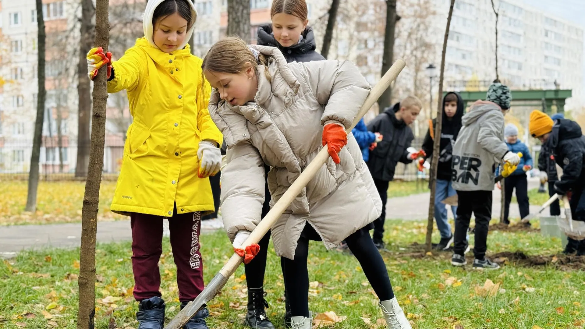 Фото: МедиаБанк Подмосковья/Ольга Стаферова