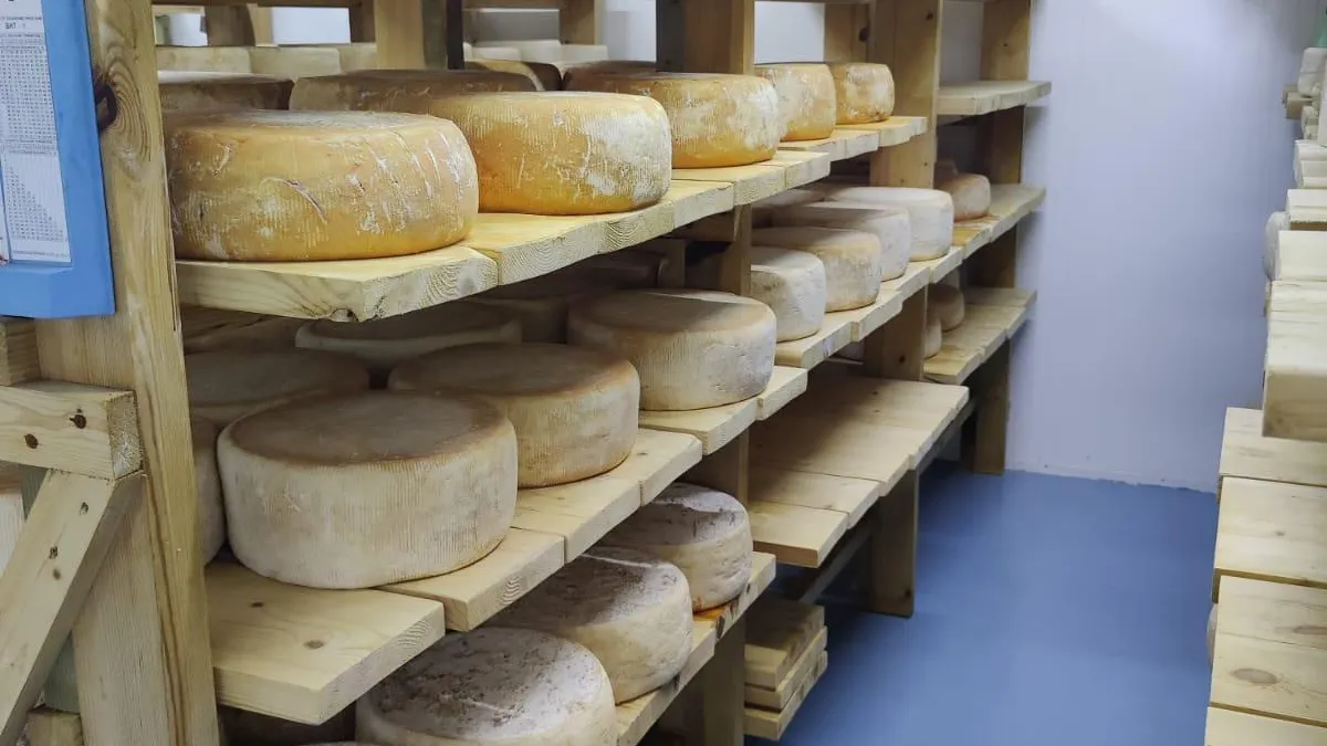 Николай Логачев