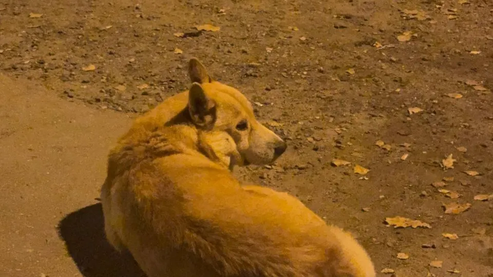 Фото: Юлия Карпова