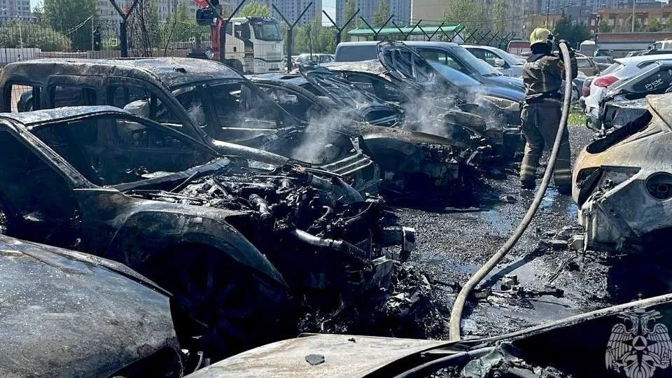 Фото: ГУ МЧС России по Московской области