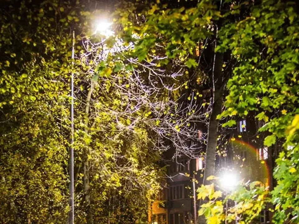 Фото: Министерство благоустройства Московской области