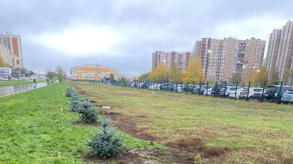 Фото: ТГ-канал zheldor_.life