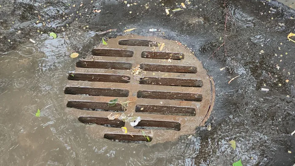 Фото: МедиаБанк Подмосковья/Наталья Лымарь