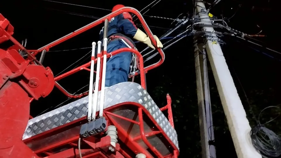 Фото: МедиаБанк Подмосковья/Ольга Антонова