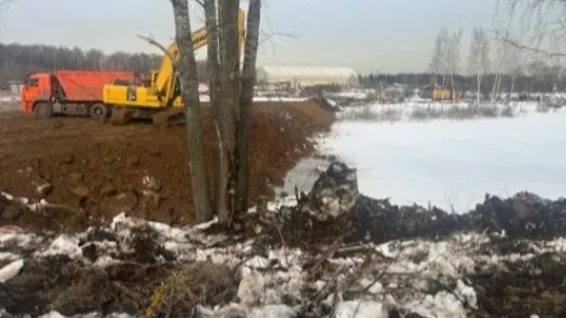 Фото: телеграмм-канал "Типичный Долгопрудный"