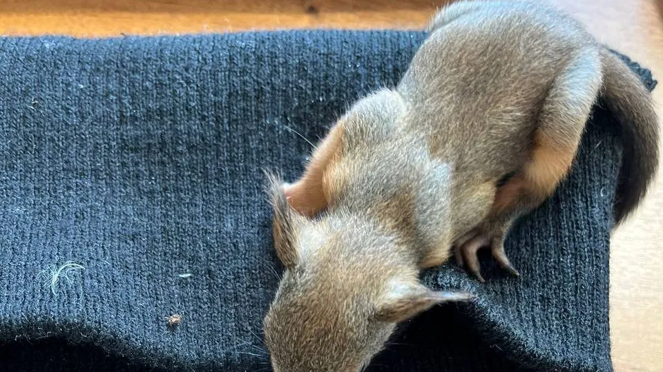 Фото: пресс-служба администрации Балашихи