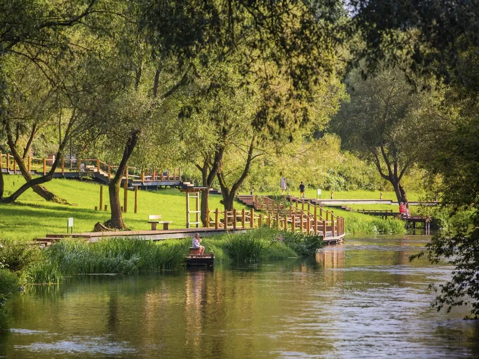 Фото: пресс-служба губернатора и правительства Московской области