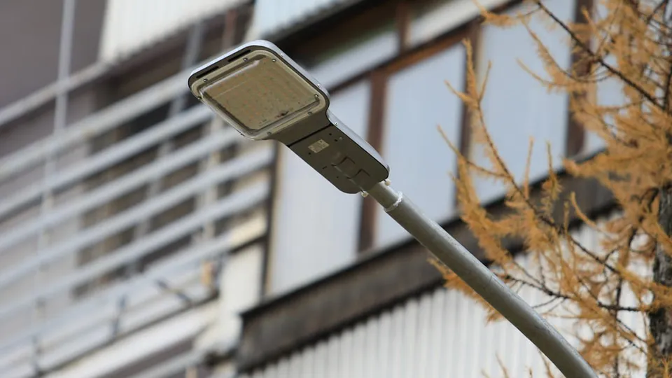 Фото: пресс-служба администрации г.о. Королев