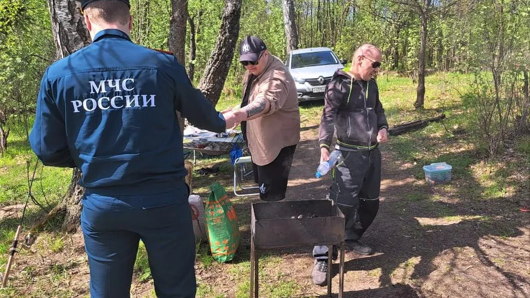 Фото: Комитет лесного хозяйства МО