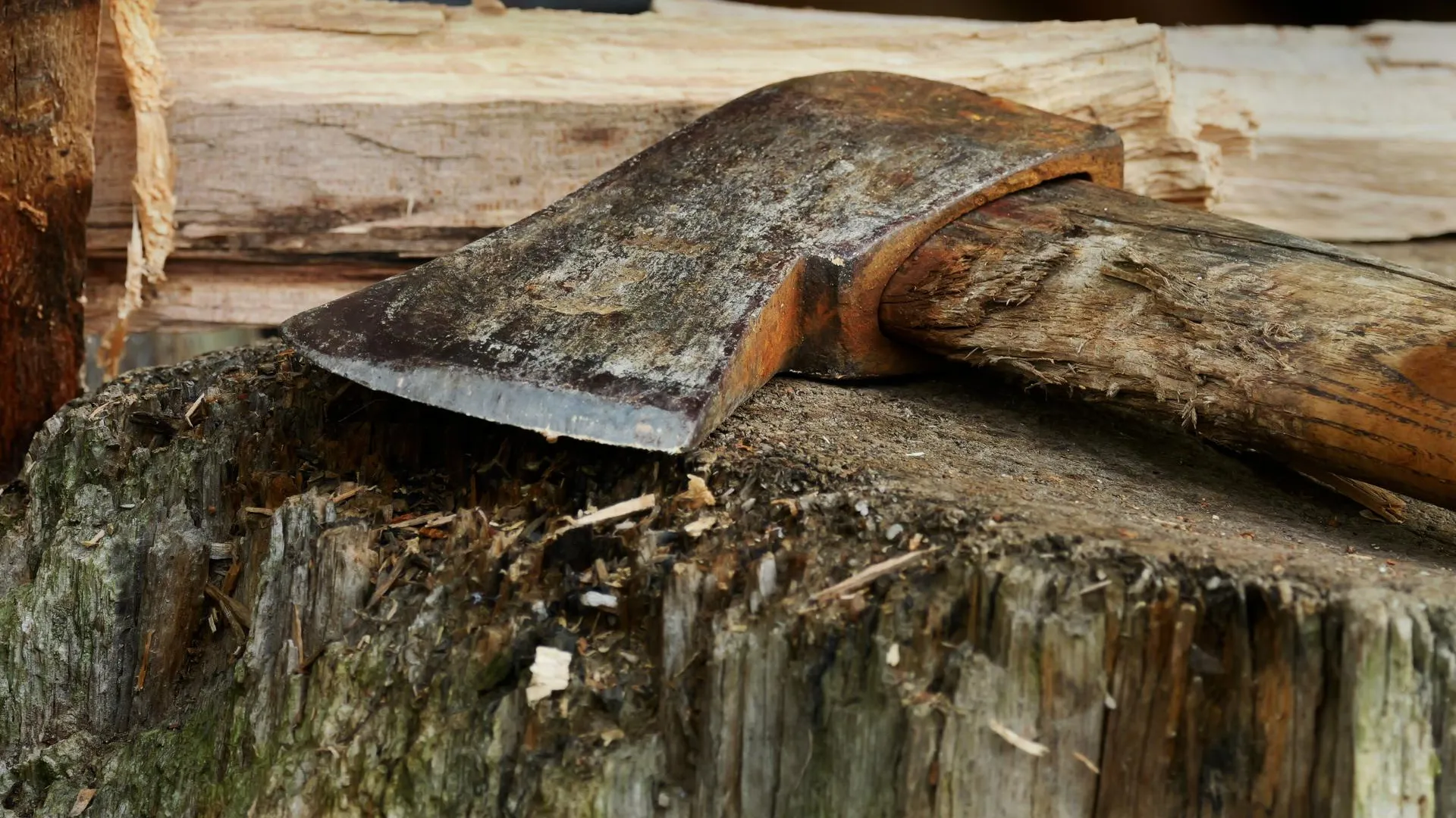 Wolfram Steinberg/dpa